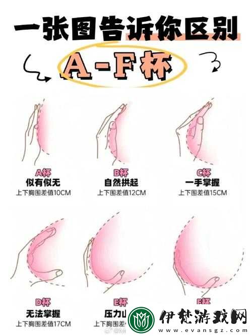 大胸美女