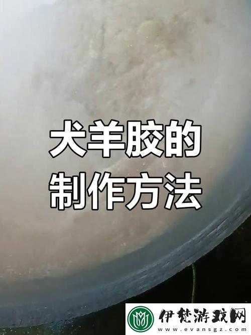 狗狗膠配方視頻