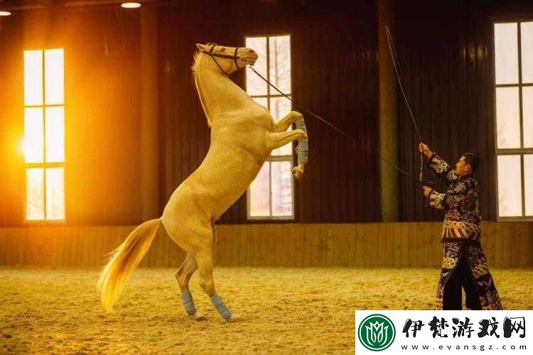 人馬畜禽