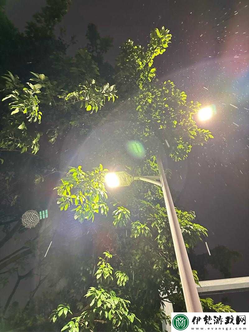 一天晚上用了好幾個小雨傘