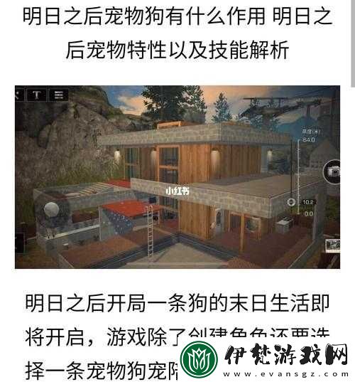 明日之后寵物狗玩法全面解析