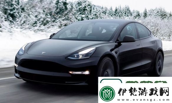 跌麻了！特斯拉股價暴跌15%