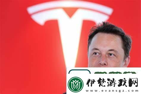 跌麻了！特斯拉股價暴跌15%