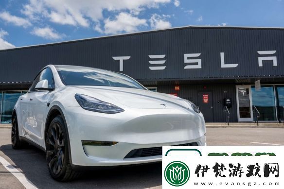跌麻了！特斯拉股價暴跌15%