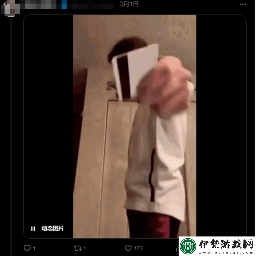 大乃子有沒有錯