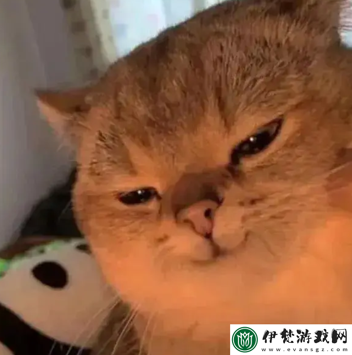 大乃子有沒有錯