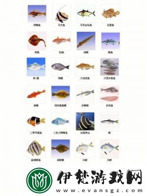 了解全部魚類種類！歡樂(lè)釣魚大師魚類圖鑒大匯總
